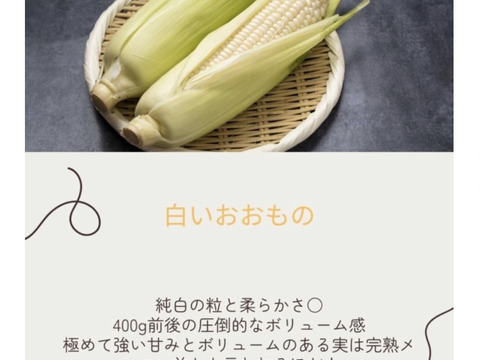 白い大物！まろやかな味わい！