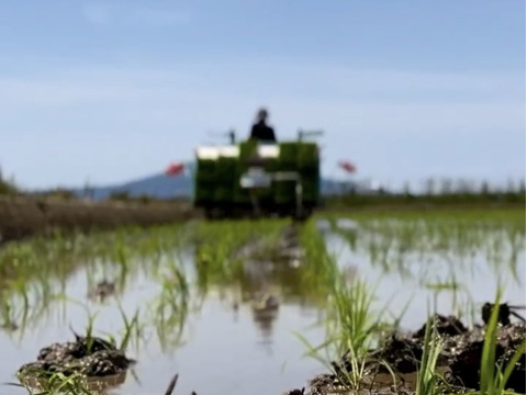 新潟県産純米コシヒカリ 【令和7年産 新米🌾】 【お歳暮も承ります】
