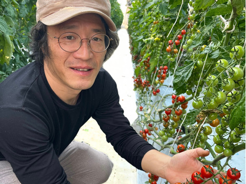 【値下げしました】爽やかな甘みのフルーツミニトマト［TTM180］