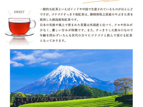 【2024年末感謝祭④・合わせ買い】ゴクゴクすっきり和紅茶ティーバッグ ティーバッグ 100個入 水出し紅茶 お 国産 ポット用 ホット アイスティー 水出し 静岡茶 牧之原茶 ティーパックパック