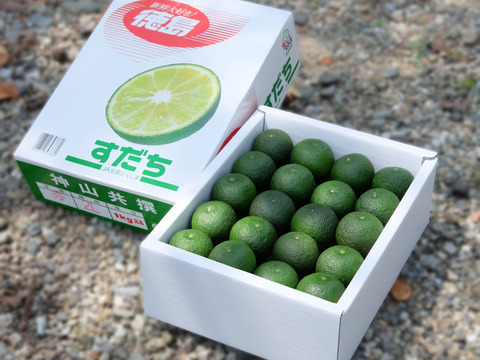送料相当分値引中 秀品神山すだち １ Kg 冷蔵貯蔵 徳島県産 食べチョク 農家 漁師の産直ネット通販 旬の食材を生産者直送