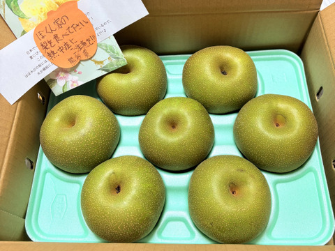 夏到来！ 梨で水分チャージ！ 幸水3キロ 6~9個入り大玉：長野県産の幸