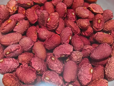 北海道の美味しいお豆！自家種　金時豆 約９００g