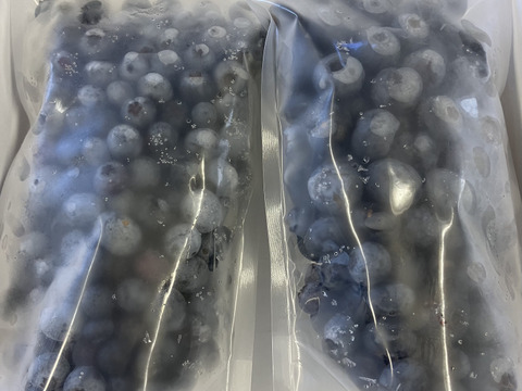 観光農園の冷凍ブルーベリー　1kg　【埼玉県産】
