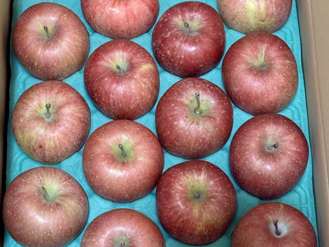 【販売中！人気商品】青森県産りんご「サンふじ」家庭用 キズ有 約10kg(5kg×2箱) 【美味・光センサー選果済】