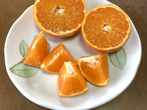 【冬ギフト】絶品！高級品種！　美味しさ間違いなし津之輝（L・2L)2kg