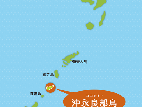 シャキシャキ甘い！沖永良部島産スナップエンドウA品　500ｇ