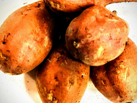 コロコロさつまいもセット❕色んな味が楽しい一口サイズの可愛いさつまいも