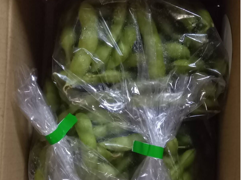 【朝どれ】＜うまっ！＞やみつき必須！うんめえ枝豆！　900g