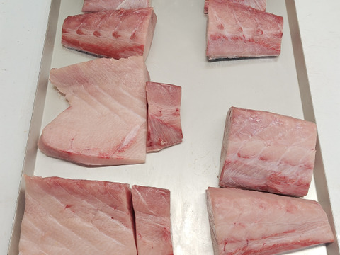 【年末年始用】冬の魚の王様/天然ぶり/寒鰤/ブリ/原体13.3キロ【体脂肪29%】【背921g】【冷凍】