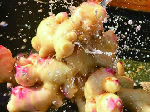 【夏ギフト】【付録：生姜レシピ】柔らかい！薬味屋人作の島原百年生姜®〈新生姜〉（２kg）熨斗対応可