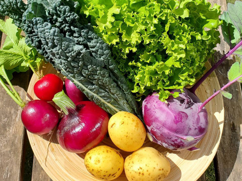 テーマは『カラフル&珍しい』野菜セット(野菜6種類入り)農薬・化学肥料不使用