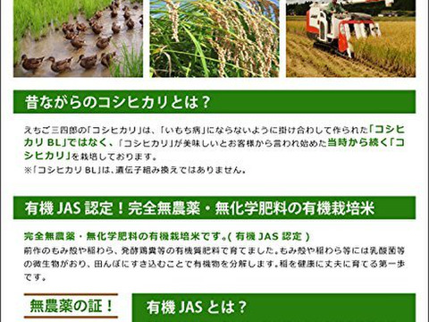 【R3産】【離乳食にも】有機JAS認証　新潟コシヒカリ（精米5kg）＃合鴨農法