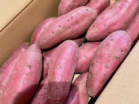 新物！上品な甘さの「シルクスイート」５kg【鹿児島県産】【さつまいも】