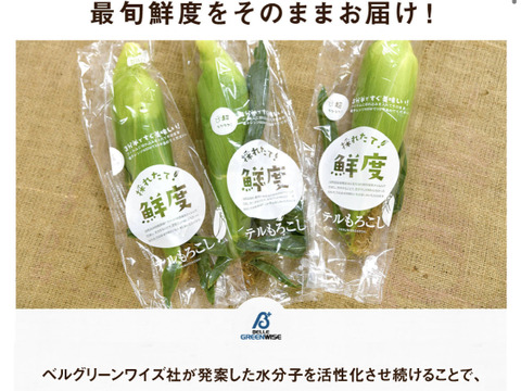 『甘々娘(かんかんむすめ)』鮮度保持フィルムで全国発送でも採りたてのトウモロコシを!