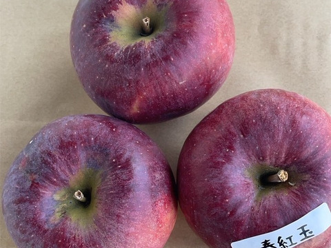 味のバランス良し！りんご 春紅玉 (キズ有B品2㎏)