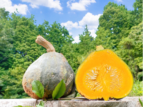 5kg自然栽培の固定種は旨かぼちゃ🎃西洋かぼちゃ！おいしい野菜
