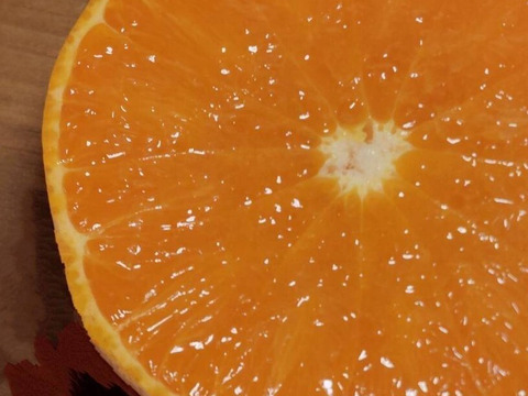 せとか【超訳あり】4.5kg(箱込)