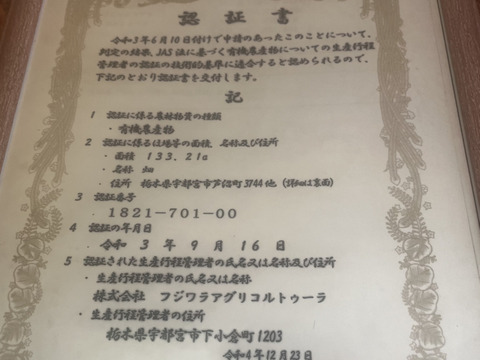 有機JAS認証☆彡万次郎かぼちゃ2個セット☆彡約3㎏：栃木県産の