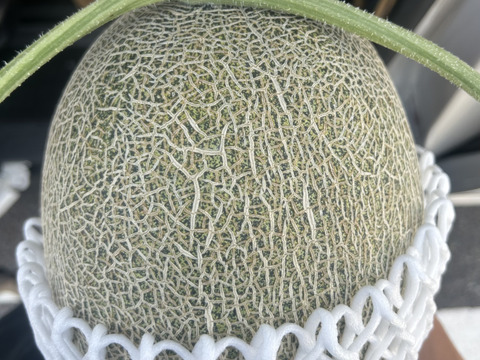 【完熟収穫】追熟の必要がないペルルメロン2玉