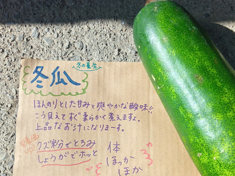 養生セット　【とろける冬瓜の冬支度養生セット】　五行ライフに♪