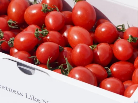 【期間＆個数限定】フラガール　1.0KG【高糖度13-14度】