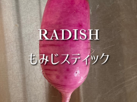 スティックサラダに！富山県産 もみじスティック大根 約1.5kg