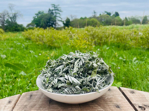 天然・乾燥蝦夷よもぎ・お試しサイズ 25g