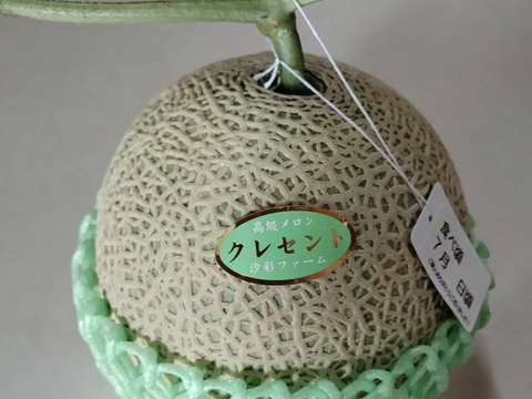 青肉メロンの新星『クレセントメロン』大玉2玉入り３.６㎏