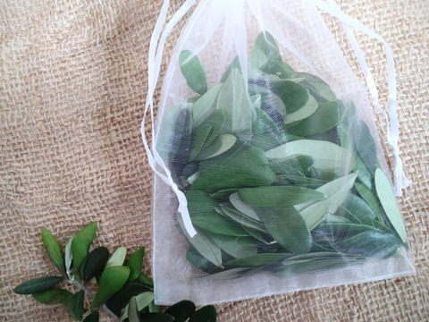 【まとめ買い用】オリーブ生葉100枚  オリーブリーフ🌿オーガンジー袋入り🌿抗菌・抗ウィルス効果🌿【自然栽培】葉っぱ部のみ🌿オリーブ茶 オリーブティー ハーブティー 🏣ゆうパック60サイズ