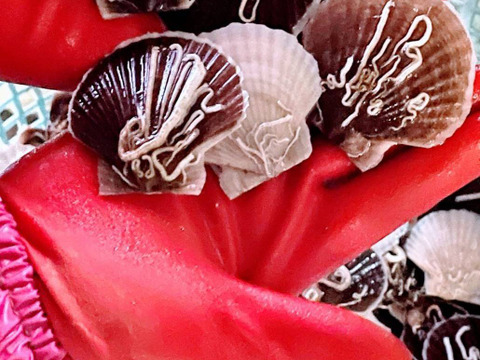 青森陸奥湾ホタテ稚貝　約2キロ