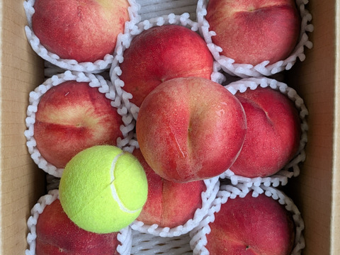 今が旬！川中島白鳳　3kg