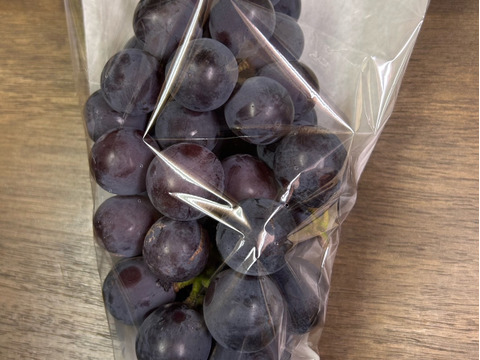 🍇訳あり・粒ピオーネ🍇  約1.5kg【岡山県産】種なしぶどう【ニューピオーネ】
