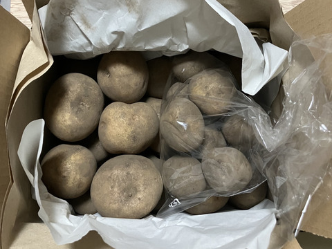 【ちょっと訳有❗】じゃがいも【キタアカリ】大きさ色々　60サイズ　1.5㎏　おまけ付  ※商品説明をご一読の上、「常温便」、「クール便」をご指定下さいませ。