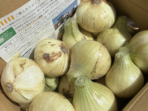この時期にしか食べられない♪淡路島新玉ねぎ「とろ甘・早生種」５kg