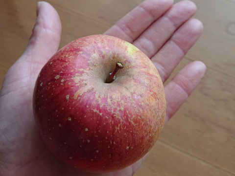 【 大特価🍎極小SSサイズ以下 】軽めのデザート・加工用  サンふじ 訳あり 24～28個 4㎏ 相当