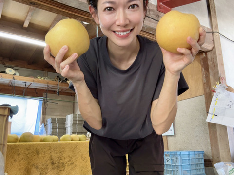 新甘泉＋二十世紀　食べ比べセット　再販