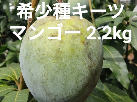 希少キーツマンゴー（家庭用）2.2kg