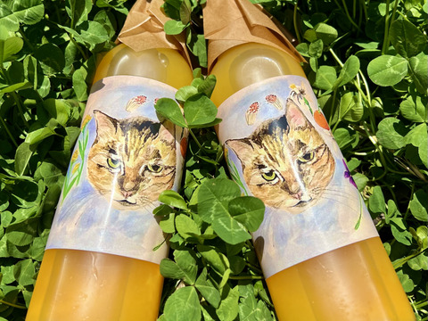 【農薬不使用】フレッシュ！収穫してすぐ発送ブルーベリー&青島みかんストレートジュースセット