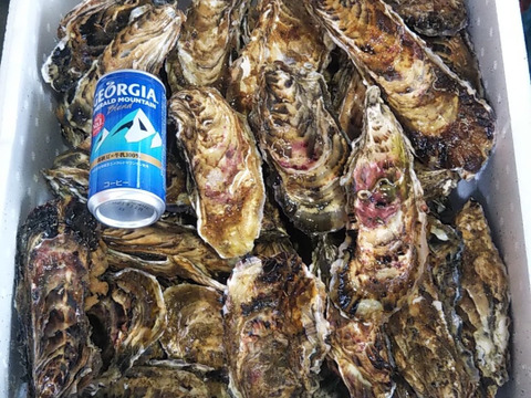 間もなく終了　食べ放題向け　バラ牡蠣 生食用　最大量１５ｋｇ（１００個くらい）北海道森町産