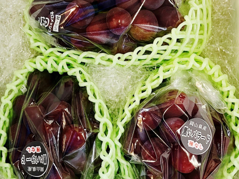 希少品種〔黒いバラード〕種なし皮ごと🍇約１ｋｇ　クール便送り
