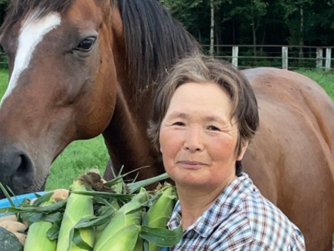 【予約必須】北海道産 たった2回のみの収穫！！メロンより甘い⁉糖度17度のトウモロコシ！10本入り！3・4人家族用