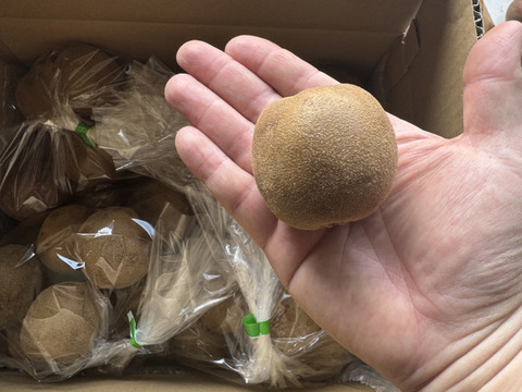 【家庭用たっぷり】30〜35個入るキウイ 約3kg
農薬・化学肥料不使用｜八女産アップルキウイ