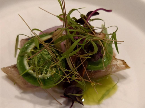 【食べきり】新潟県妙高市産　天然山菜！くせなし！緑が鮮やか！天然こごみ(250g)