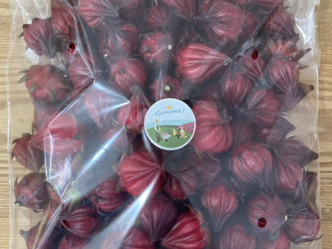 富山県産 ローゼル 約1kg