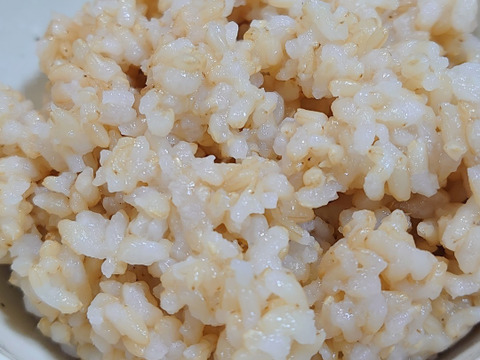 【合鴨農法】武田家のお米 あきたこまち 玄米 5kg【令和3年産】