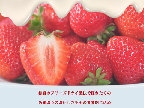 あまおうしみチョコ　いちご