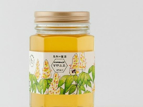れんげ・マロニエ（とち） 蜂蜜　2瓶セット【非加熱・純粋】ミネラルたっぷり【食べ比べ】