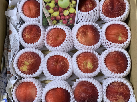 極甘！とれたてネク桃・ハネージュB品（約3㎏）