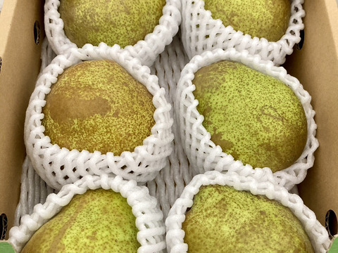 【ラフランス専業農家が贈る🍐】ラ・フランス 訳あり２kg４〜７玉入り　２Lサイズ以上のみ！【規格外】